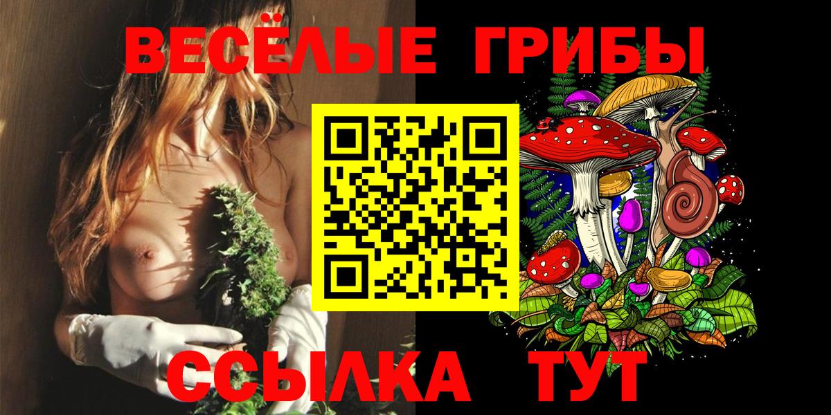 Галлюциногенные грибы Psilocybe Рузаевка